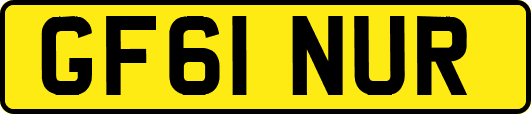 GF61NUR