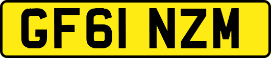 GF61NZM