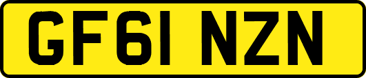 GF61NZN