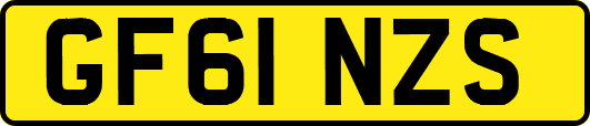 GF61NZS