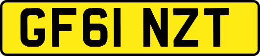 GF61NZT