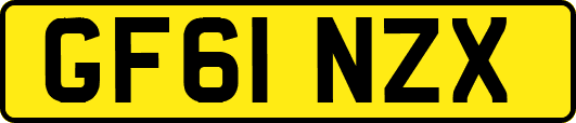 GF61NZX