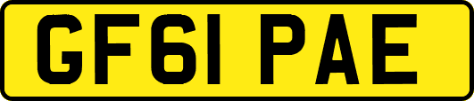 GF61PAE