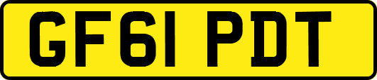 GF61PDT