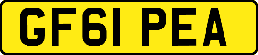 GF61PEA
