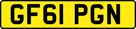 GF61PGN