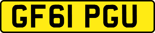 GF61PGU