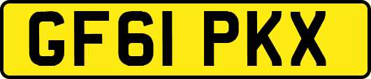 GF61PKX
