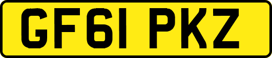 GF61PKZ