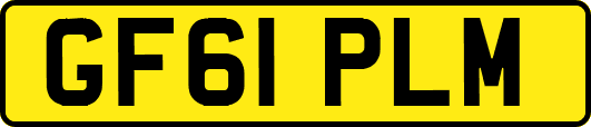 GF61PLM