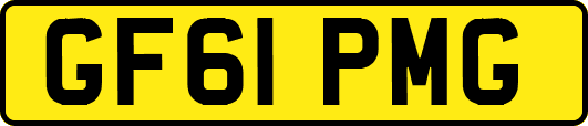 GF61PMG