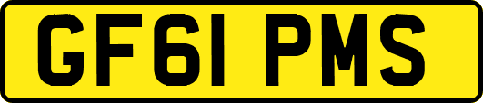 GF61PMS