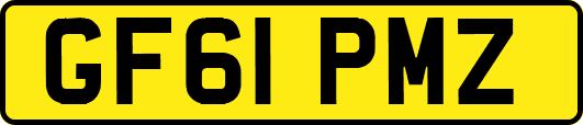 GF61PMZ
