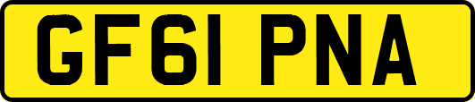 GF61PNA