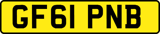 GF61PNB
