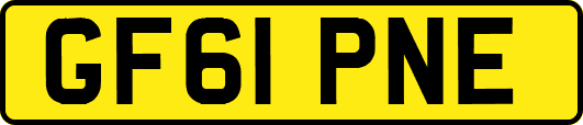 GF61PNE