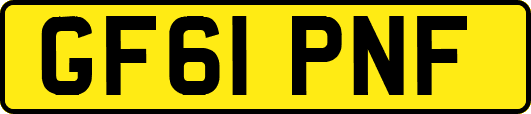 GF61PNF