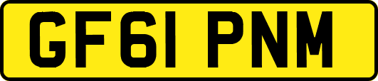 GF61PNM