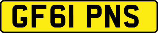 GF61PNS