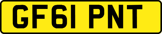 GF61PNT