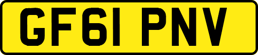 GF61PNV