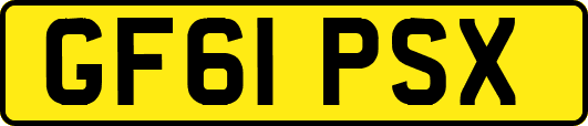 GF61PSX