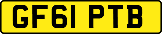 GF61PTB