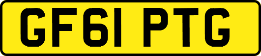 GF61PTG