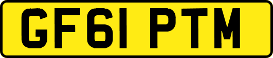 GF61PTM