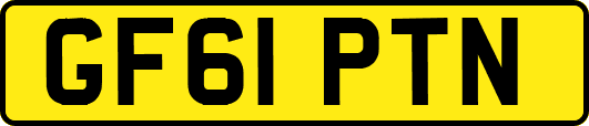 GF61PTN