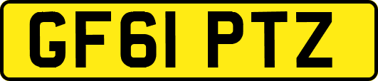 GF61PTZ