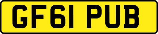GF61PUB