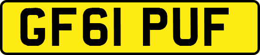 GF61PUF