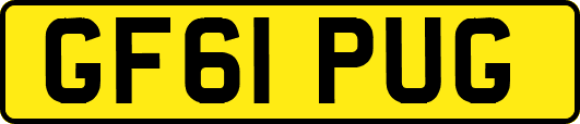 GF61PUG