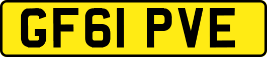 GF61PVE