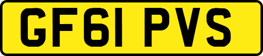 GF61PVS