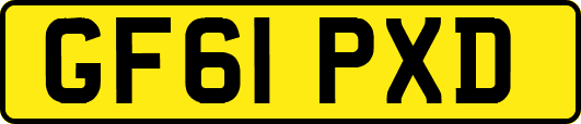 GF61PXD
