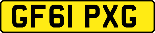 GF61PXG