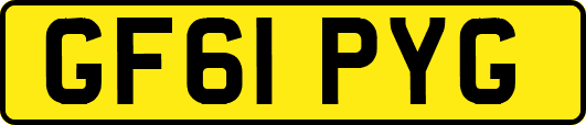 GF61PYG