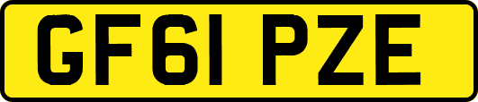 GF61PZE