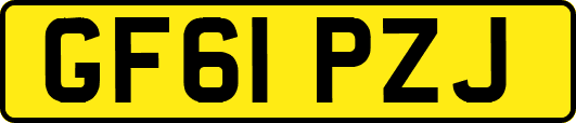 GF61PZJ