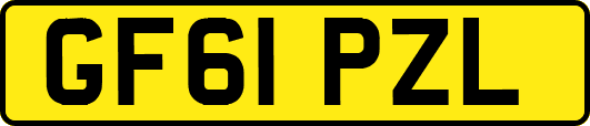 GF61PZL