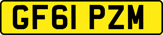 GF61PZM