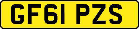 GF61PZS