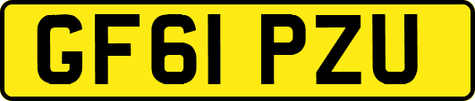 GF61PZU