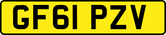 GF61PZV