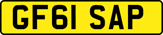 GF61SAP