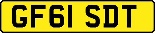 GF61SDT