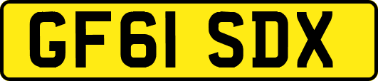 GF61SDX