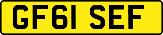 GF61SEF